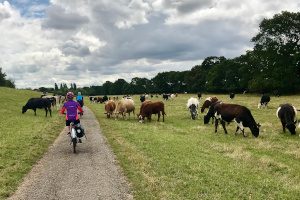 Way of the Roses (4 day)